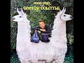 Talk to the Animals