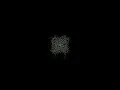 Slime Mold Simulation in Python