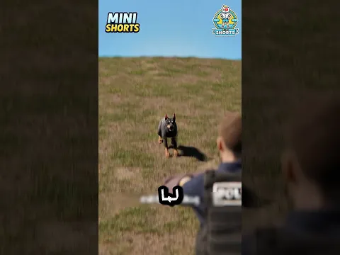 هيحصل إيه لو سن الكلب العسكري اتكسر؟ 🐕🦷😱#shorts