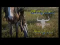 WWRP ll Charity Lawson ll Memory Loss