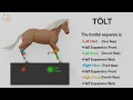 Download Lagu The TOLT - A Unique gait of the Icelandic horse