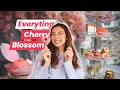 Download Lagu Sakura Dream! The Most Beautiful Afternoon Tea in Tokyo