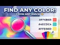Uncover ANY Image s Secret Colors The Ultimate Palette Extractor