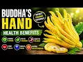 Buddha s Hand Citrus Surprising Health Benefits of Nature s Fragrant Fruit