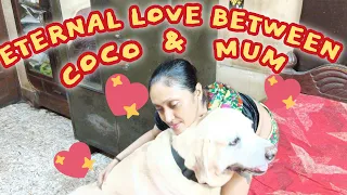 COCO LOVES MUM FOREVER, NO MATTER WHAT 🥰| BUT COCO GETS ANGRY, "CAUSE MUM'S GOING| WATCH FOR THE END