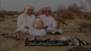 خابر شواهينك 