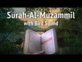 Download Lagu Surah Muzammil ⋮ Al Muzammil with Nature Sounds for Peace of Mind \u0026 Stress Relief - Al Muzzamil