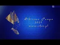 Baladi with zills- bos shof- masterclass group Sihir Dance Studio