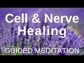 Lagu Guided HEAL Meditation - Cell and Nerve Healing (Self Healing Meditation)