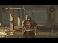 Nioh 2 Configurable FOV