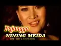 Download Lagu PUJANGGA / HJ.NINING MEIDA ! VIDEO LIRIK