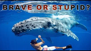 RISKING OUR LIVES to rescue ENTANGLED WHALE!! (Episode 205)