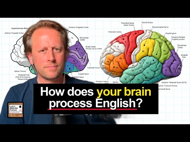 Video: Neuroscience & Learning English 🧠 11 Surprising Facts [1002]