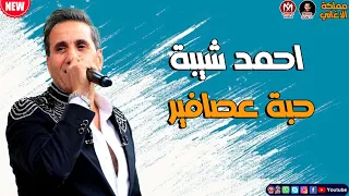 جديد        اغنية احمد شيبة   حبة عصافير دندنها