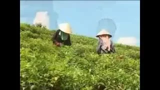 Chiều về qua Đông Giang