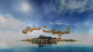 الفنان محمود العامري مانسينا ياحبيبي دندنها