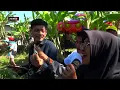 Download Lagu ANDI PUTRA 2 JALUK TANGGUNG JAWABE VOCLALIS DSA SEKARMULYA BLOK KEBON RANDU KEC GABUSWETAN INDRAMAYU