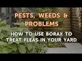 How to Use Borax to Treat Fleas in Your Yard