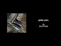 Download Lagu peter pan. by Brent Faiyaz - Karaoke with BACKING VOCALS