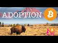 Download Lagu 🚨 FLASH CRYPTO ⚡️ L'ADOPTION DU BITCOIN S'ACCELERE ET ATTEINT LE NIVEAU 4/5 ✅ Un point de NON RETOUR