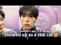 Download Lagu [BOYS II PLANET] 😺진짜 고양이가 되어 나타났다😺 데뷔 콘셉트 배틀 비하인드