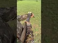 Lagu Side by Side Double Barrel Shotgun Made in Spain #fyp #foryou #spanish