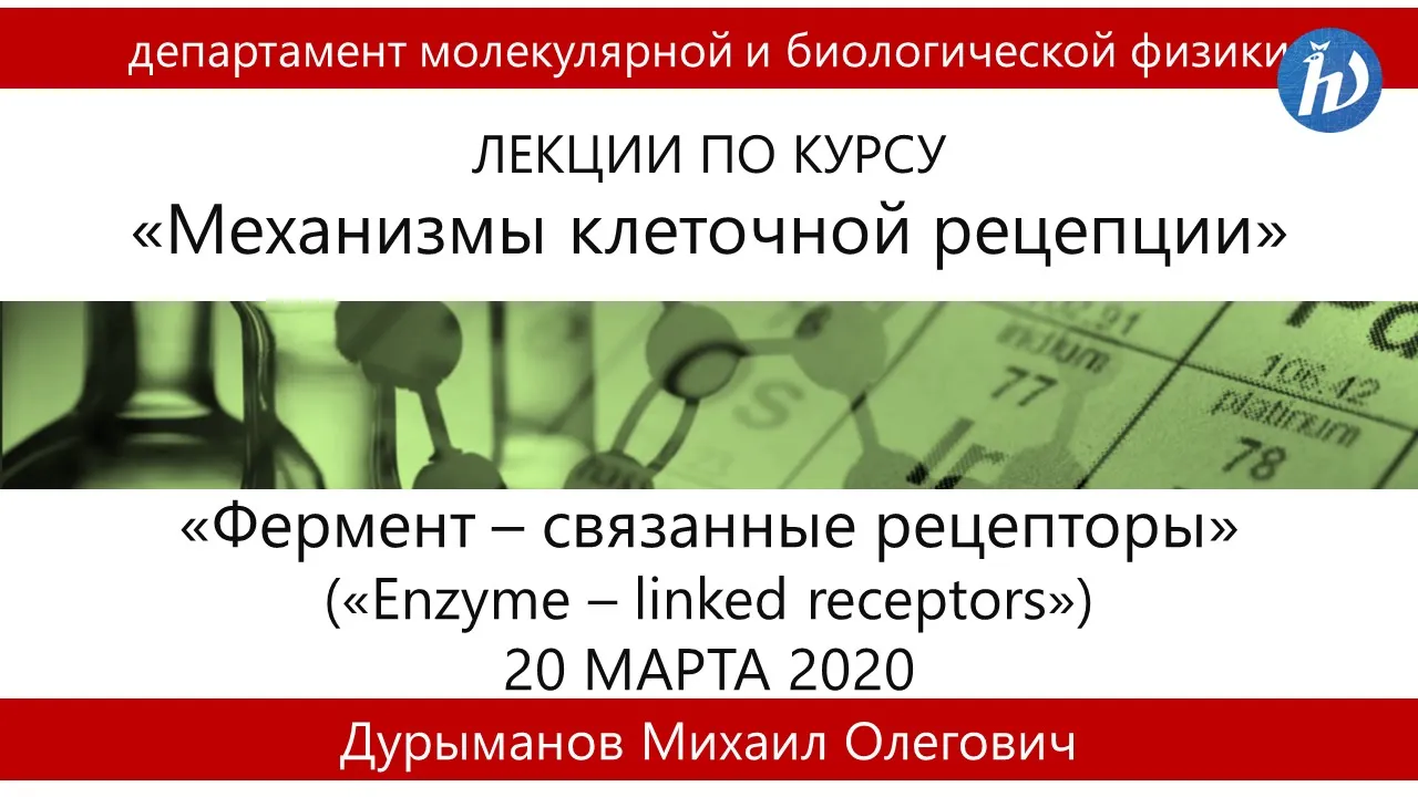 Фермент-связанные рецепторы "Enzime-linked receptors"