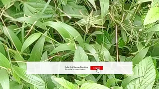 abaana abawala mwogeze nga amazima nyimirwa oyige by ssenga ritah