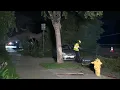 Powerful winds knock over tree power lines onto cars in Lake Balboa