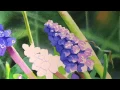 A watercolour journey of discovery - with Elizabeth Tyler