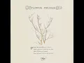 Snowflake - soye