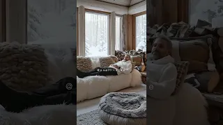 وغلبني فضل شاكر Restyle AI 