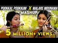 Download Lagu Pookkal Pookkum X Malare Mounama MASHUP | Sruthi Balamurali