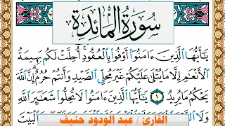 سورة المآئدة عبد الودود حنيف Surah Al Maeda Abd Al Wadood Haneef برواية حفص عن عاصم 