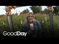 Molly is Touring the Most Gorgeous Farms in Placer County