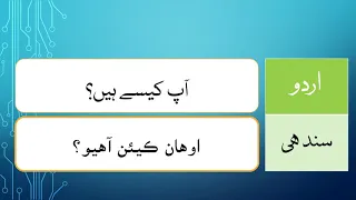 Learn Sindhi Through Urdu Lesson 2 