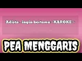 Download Lagu Adista Ingin Bertemu Karoke