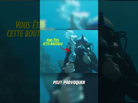 CE SPOT DE PLONGÉE EST TELLEMENT DANGEREUX ! 😱