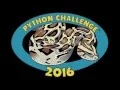 2016 Python Challenge a Success