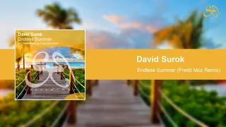sblr021 david surok endless summer fredd moz remix