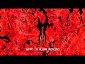 Ed Sheeran - Love In Slow Motion (1 Hour Loop)