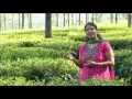 Download Lagu Sumai  Thangi Yesu | Philomina  Daughter of  Pr.Moses Rajasekar