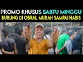 Lagu 🎉 PROMO GEDEN KHUSUS SABTU MINGGU SEMUA BURUNG DI OBRAL MURAH DI KIOS SIGIT PASAR BURUNG PRAMUKA