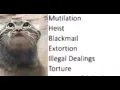cat crime