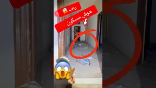 حوش مسكون فيديو رعب رعب Shorts 