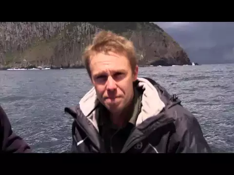 The Wild life of Tim Faulkner compile