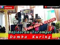 Download Lagu DOMBA KURING - BAJIDORAN TAROMPET nico entertainment