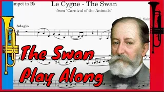 The Swan Carnival Of The Animals Piano Accompaniment With Sheet Music In Bb 