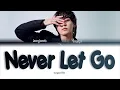 Jungkook Never Let Go [ПЕРЕВОД НА РУССКИЙ Color Coded Lyrics]