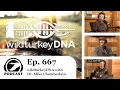 wildturkeyDNA A Ground-Breaking Study of Wild Turkey Genetics DU Podcast